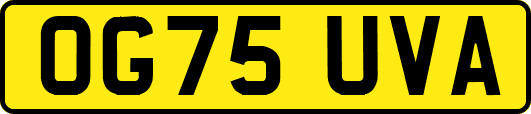 OG75UVA