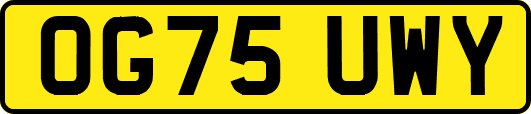 OG75UWY