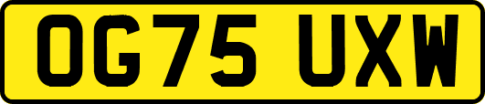 OG75UXW