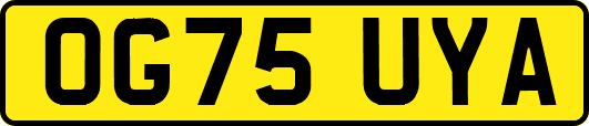 OG75UYA