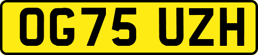 OG75UZH