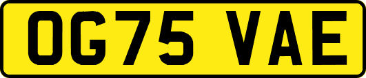 OG75VAE
