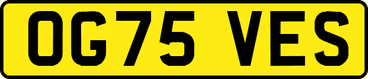 OG75VES