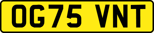 OG75VNT