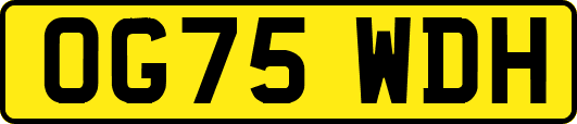 OG75WDH