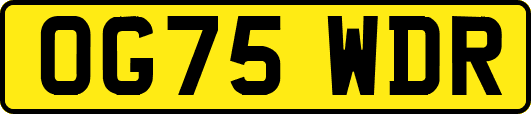 OG75WDR