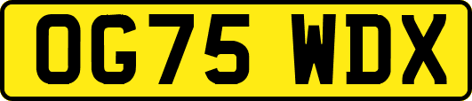 OG75WDX