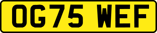 OG75WEF