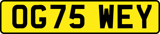 OG75WEY
