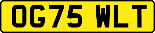 OG75WLT