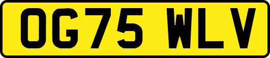 OG75WLV
