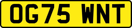 OG75WNT