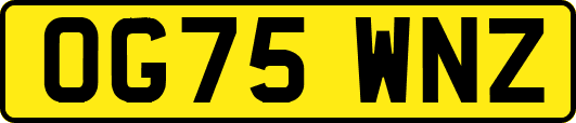 OG75WNZ