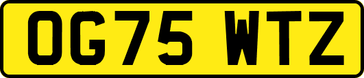 OG75WTZ