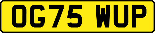 OG75WUP