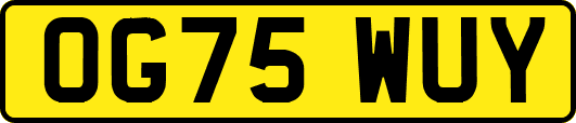 OG75WUY