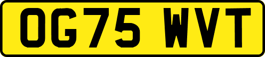 OG75WVT