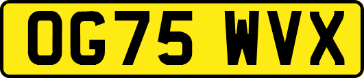 OG75WVX
