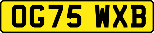 OG75WXB
