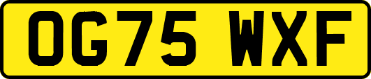 OG75WXF