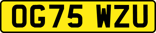OG75WZU