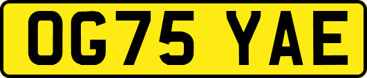 OG75YAE