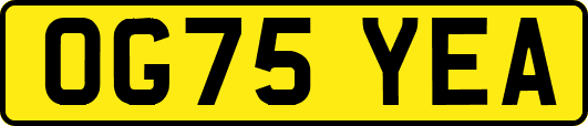OG75YEA