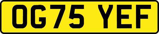 OG75YEF