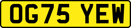 OG75YEW