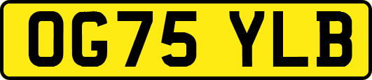 OG75YLB