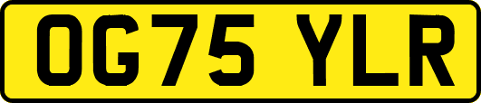 OG75YLR