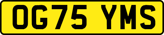 OG75YMS
