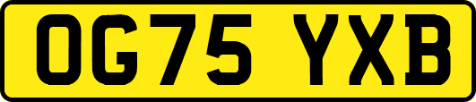 OG75YXB