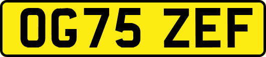 OG75ZEF