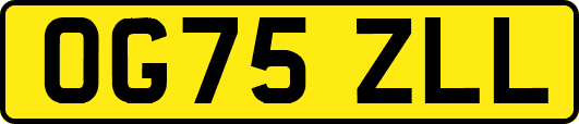 OG75ZLL