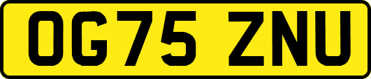 OG75ZNU