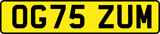 OG75ZUM