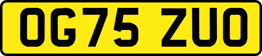 OG75ZUO