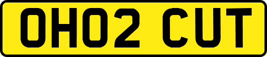 OH02CUT
