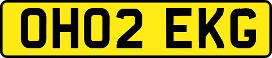 OH02EKG