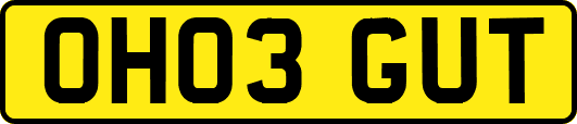 OH03GUT