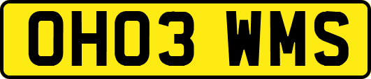 OH03WMS