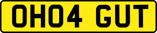 OH04GUT