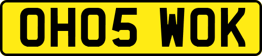 OH05WOK