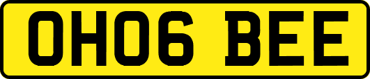 OH06BEE