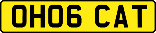 OH06CAT