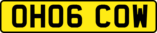 OH06COW