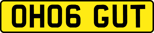 OH06GUT