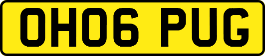 OH06PUG
