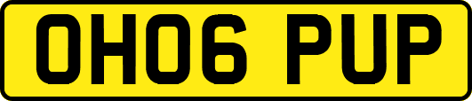 OH06PUP
